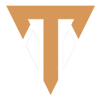 TwinsVision logo